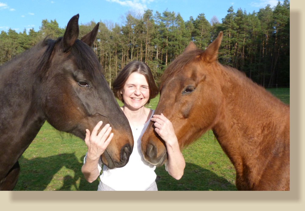 Vertrauen zwischen Mensch und Pferd wieder aufbauen - Hilfe für Reiter in Höchstadt Aisch Entdecken Sie die wahren Gründe für Ihre Ängste